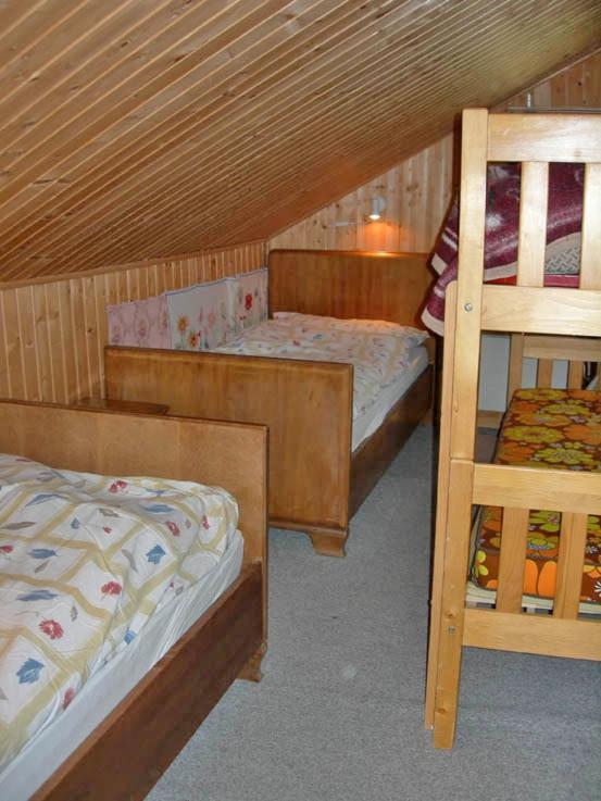 Apartments Dr. Med. Vet. Tempelman إنترلاكن المظهر الخارجي الصورة