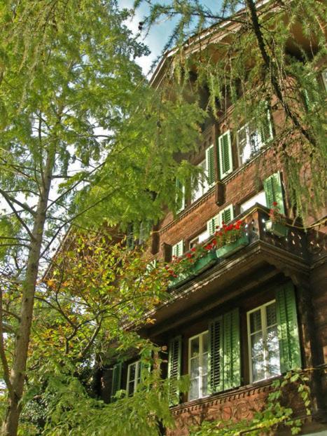 Apartments Dr. Med. Vet. Tempelman إنترلاكن المظهر الخارجي الصورة