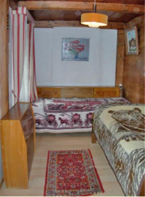 Apartments Dr. Med. Vet. Tempelman إنترلاكن الغرفة الصورة