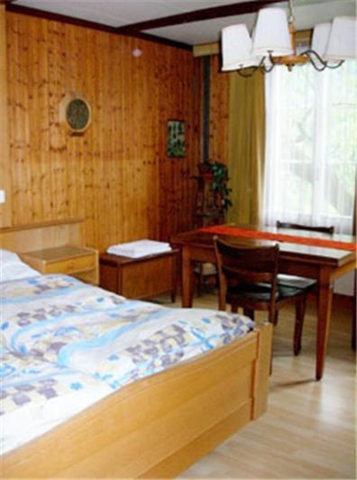 Apartments Dr. Med. Vet. Tempelman إنترلاكن الغرفة الصورة